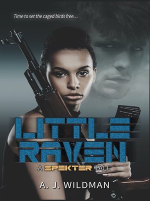 cover image of Little Raven